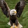 🦅💫🦋𝑴𝒂𝒆🦋💫🇵🇭🦅 - @maemolina05 - TikTok