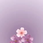 Maemo - @maemorinah - Instagram