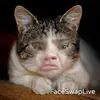Inleigh Mae Morrison  - @inzywinzygaming_ - TikTok