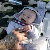 Lilymae_Morrison - @lilymae_morrison - TikTok