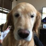 Mae morse - @mae_bell_5 - Instagram