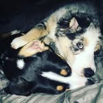 Kaliharpermae - @kali_harper_mae_moyers - Instagram