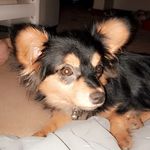 🐾Dixie Mae Napier💜 - @dixie_mae_napier - Instagram
