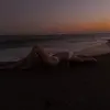 mae nash - @mnashh - TikTok