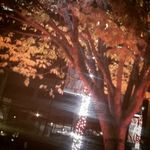Mae Nelson - @mae.nelson.771 - Instagram