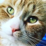 Dominique Mae Pope - @evanjosephknickerbockerpope - Instagram