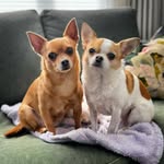 Dorothy Marabel & Doris Mae Power - @dot_and_doris - Instagram
