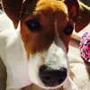 mae_power346 - @mae_power346 - TikTok