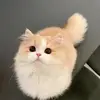 Mae Power - @mae.power0 - TikTok