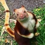 Mae Power - @maepower - Instagram