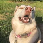 Luna Mae Puckett - @imalilluna - Instagram