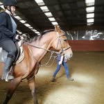 Ellie Mae Purvis - @equineelliemae - Instagram