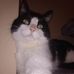 Mae Purvis - Facebook
