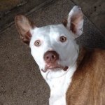 Maggie Mae Reilly - @magalita_bullerina - Instagram