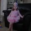 mae - @maeabriggs - TikTok