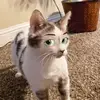 missashley02 - @mae_rivers_ - TikTok