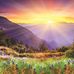 Mae Robbins - Facebook