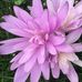 Mae Maggie Roche - Facebook