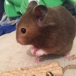 Mae Rogers - @mae_rogers3037 - Instagram