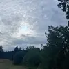Mae Rogers - @mae.rogers0 - TikTok