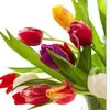 maerogers446 - @maerogers446 - TikTok