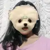 maerubin_01 - @maerubin_01 - TikTok