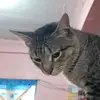 Rush_mae - @rush_mae - TikTok
