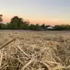 maerussell - @maerussell - TikTok