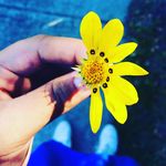 Dayna-Mae Ryder - @daynamaeryder8 - Instagram