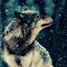 Mae Sands - Facebook