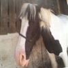 Georgia-Mae  Sargent  - @official_georgiaxx - TikTok