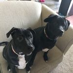 Livi Mae & Peyton Sawyer - @liviandpeyton - Instagram