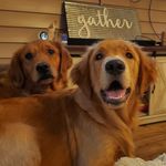 Sadie Mae & Sawyer Mack - @sadieandsawyer - Instagram