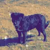 izymaeschaefer - @_.._izy_.._ - TikTok