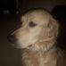 Mae Schaefer - Facebook