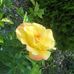 Mae Schmitt - Facebook