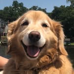Gracie Mae Schultz - @graciemae_golden - Instagram