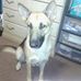 Dolores Mae Schuster - Facebook