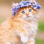 Mae Searcy - Facebook