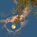 Mae Selfar - Facebook