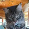 maeve_settle - @maeve_settle - TikTok
