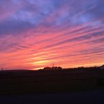 No - @maebhsexton - Instagram