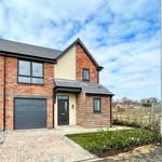 Laura Mae Sharpe - Home - @laurasharpiehome - Instagram