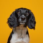 𝓜𝓪𝓮 - @maethespringer - Instagram