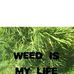 Mae Stoner - Facebook