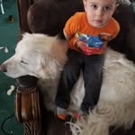 Mae Stump - @mommy5brats - Instagram