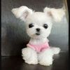 Abby mae vickers - @abbymae_cupcake101 - TikTok