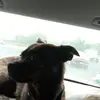 Mae Walker - @mae.walker3 - TikTok