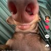 Mae Walter - @maewalter426 - TikTok