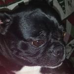 Mae Conrad Walters - @dozengrans12 - Instagram